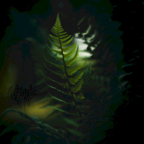 Liquid Shadows