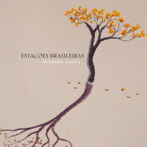 Estações brasileiras