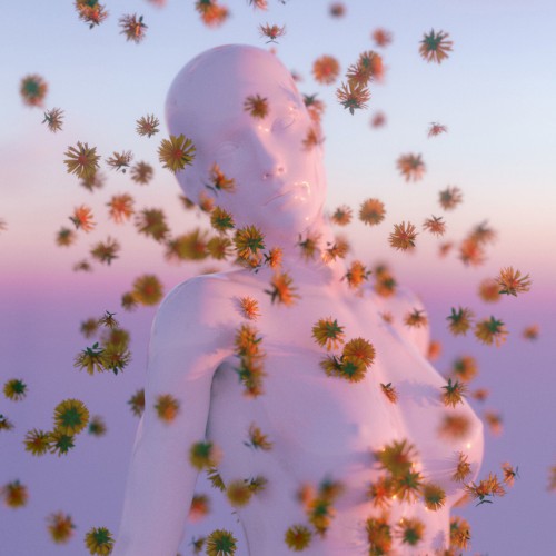 Illusions
