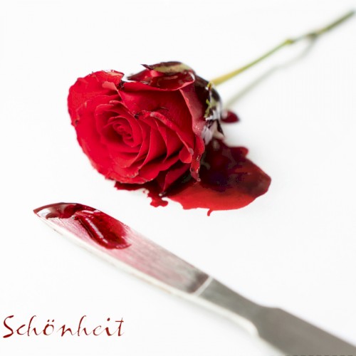 Schönheit
