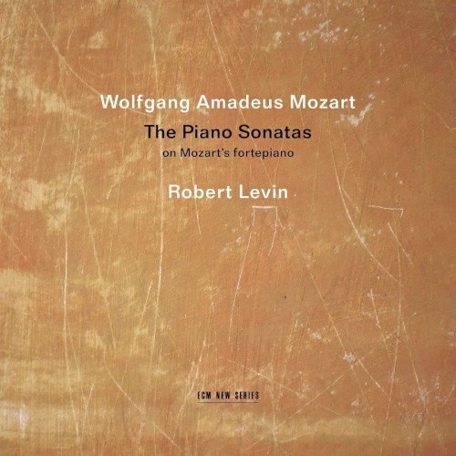 The Piano Sonatas
