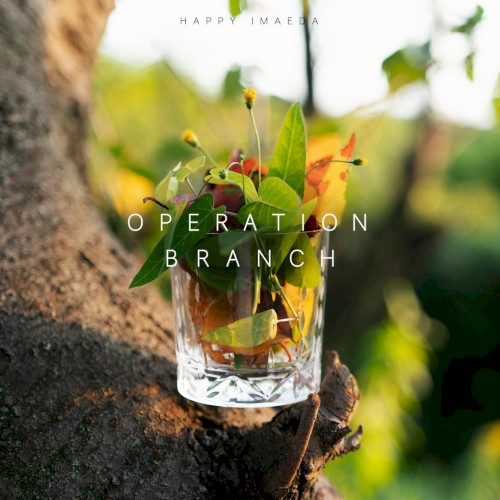 Operation Branch