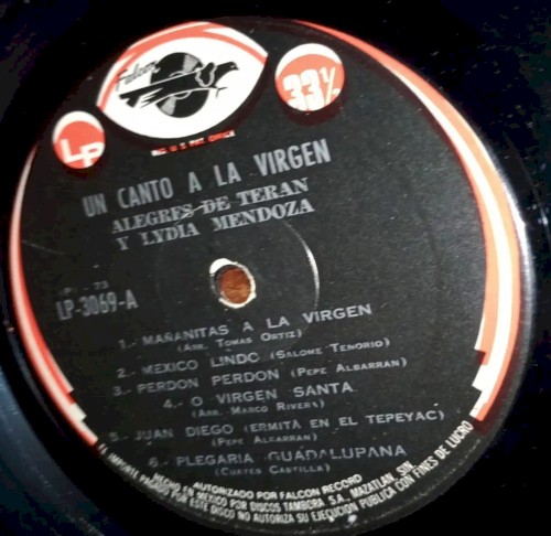 Un canto a la virgin