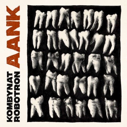 Kombynat Robotron &ndash; AANK