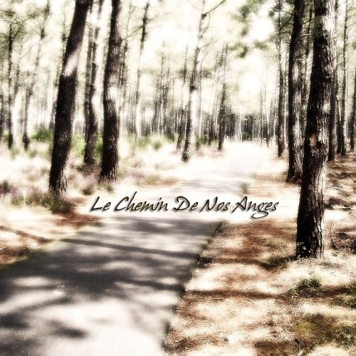 Le Chemin de nos anges