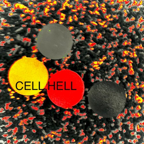 CELL HELL