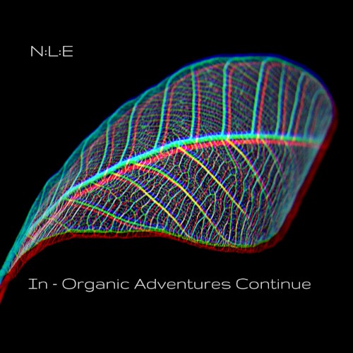 In-Organic Adventures Continue