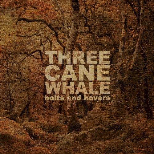 Holts and Hovers