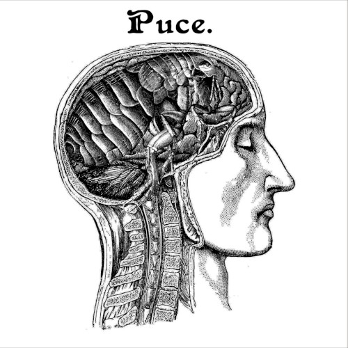 Puce