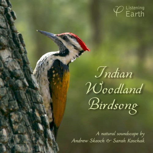 Indian Woodland Birdsong