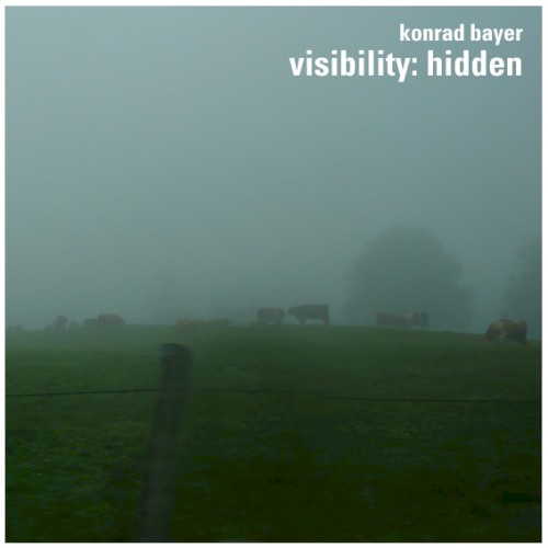 visibility:hidden