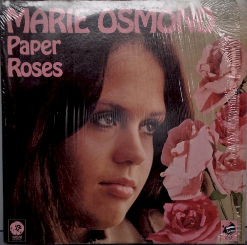 Paper Roses