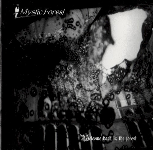 Welcome Back in the Forest