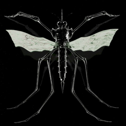 GNAT