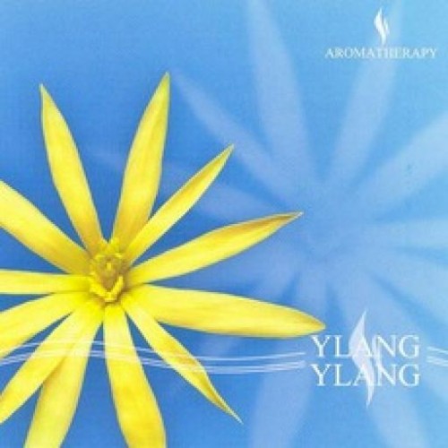 Ylang Ylang