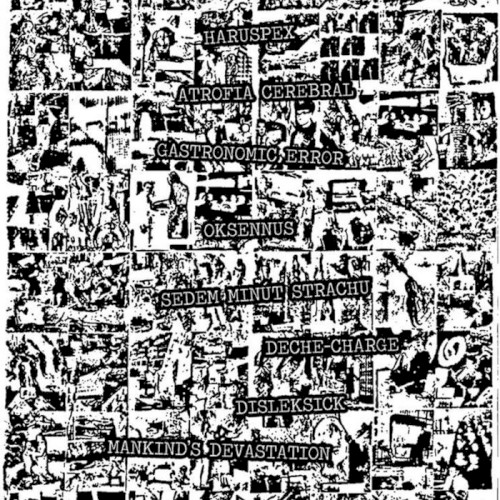8-Way Noise Attack