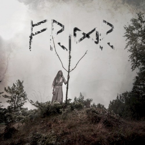 Fridr
