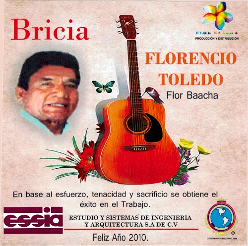 Bricia