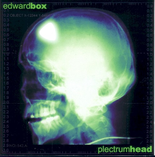 Plectrumhead