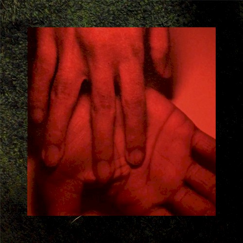 Our Hands Against the Dusk