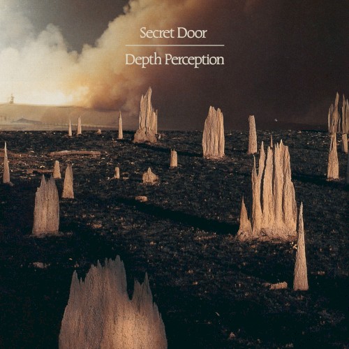 Depth Perception