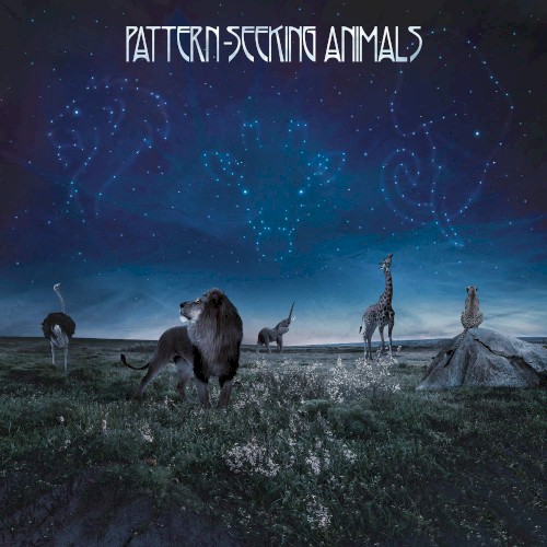 Pattern‐Seeking Animals
