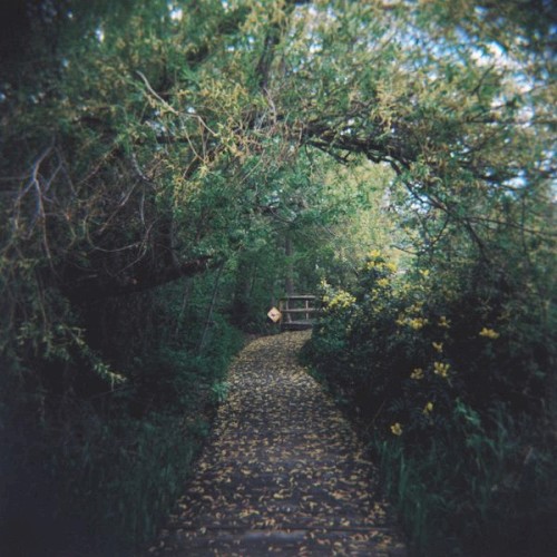 Bird Sanctuary
