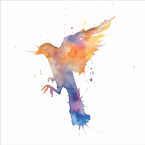Colors