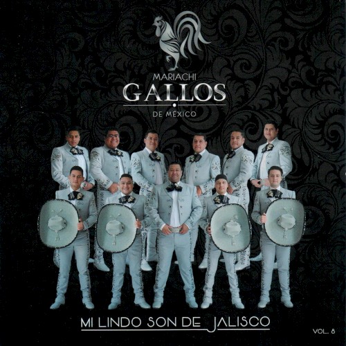 Mi Lindo Son de Jalisco, Vol. 8