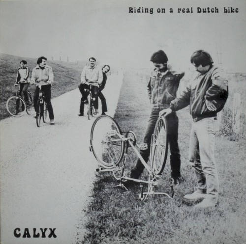 Riding on a Real Dutch Bike