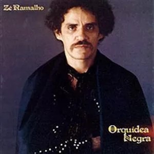 Orquídea negra