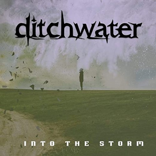 Into the Storm