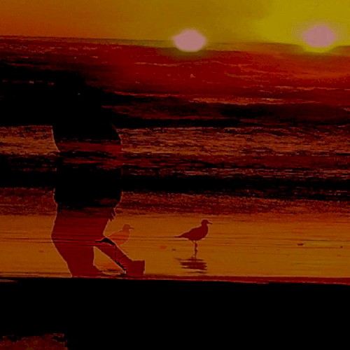 dark rain sunset