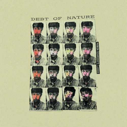 Debt of Nature &ndash; Robin Diamond’s Lungs
