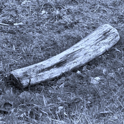 Deserted Island