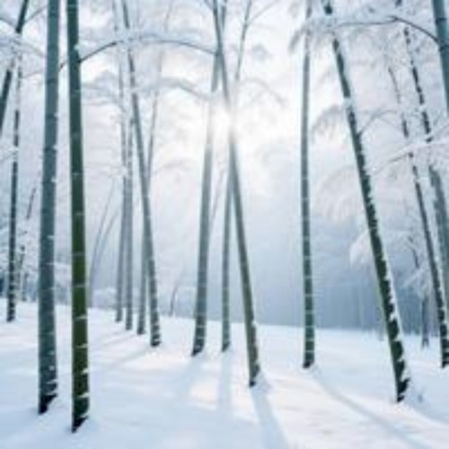 A WInter's Day