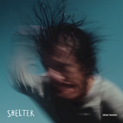 Shelter