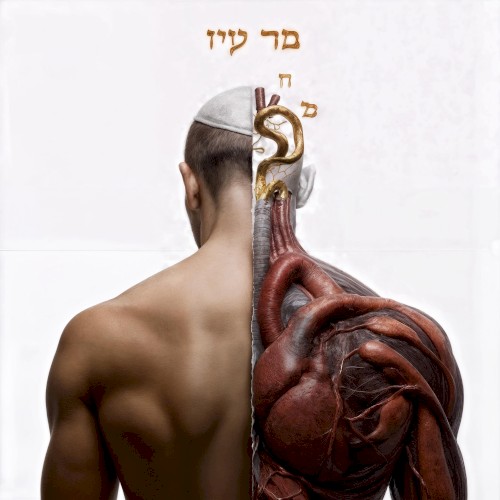 נס חדש