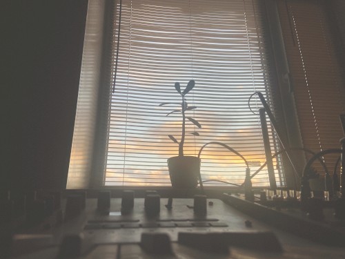 yellow skies, take me there
