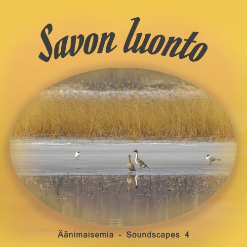 Nature of Savo - Soundscapes 4