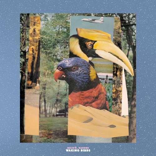 Waking Birds