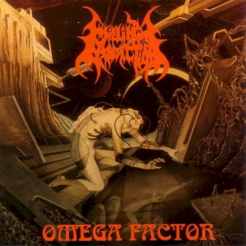 Omega Factor