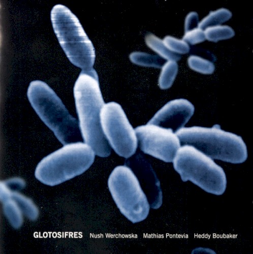 Glotosifres