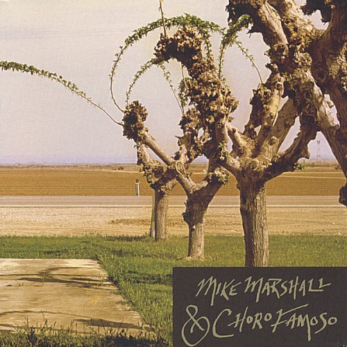Mike Marshall & Choro Famoso