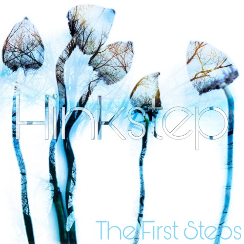 The First Steps