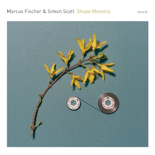 Shape Memory