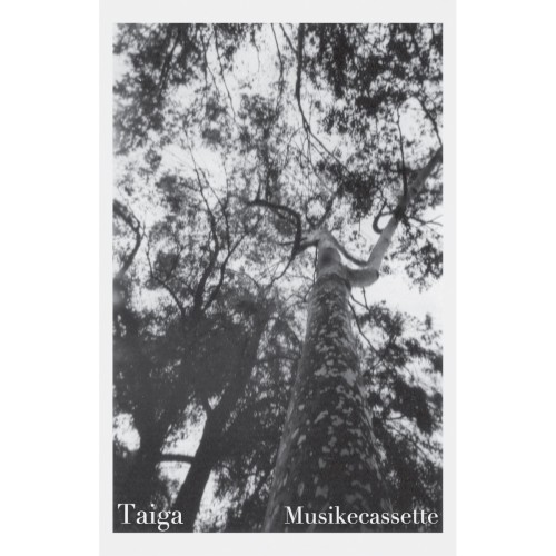 Musikecassette