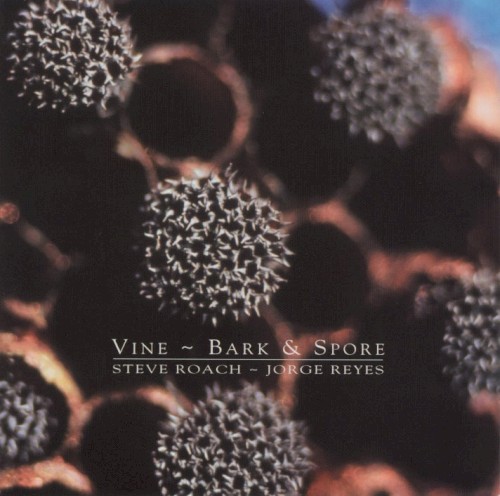 Vine ~ Bark & Spore