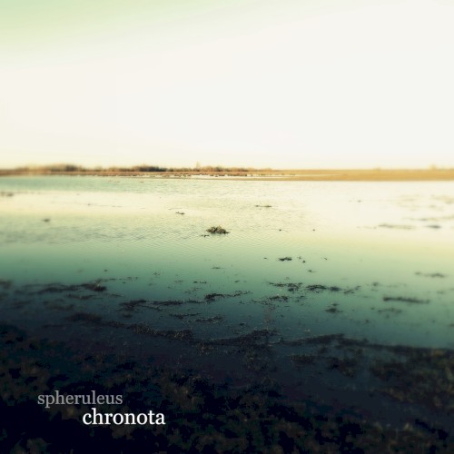 Chronota