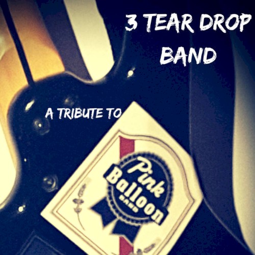 A Tribute to Pink Balloon Band